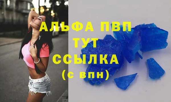 стафф Алексин