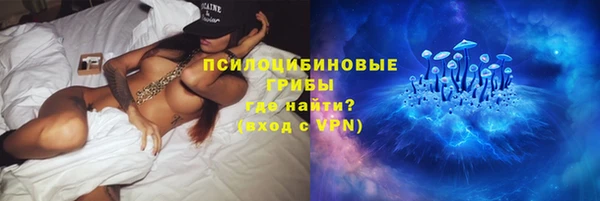 стафф Алексин