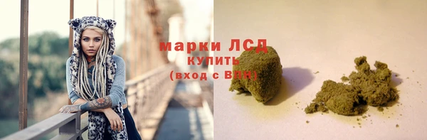 стафф Алексин