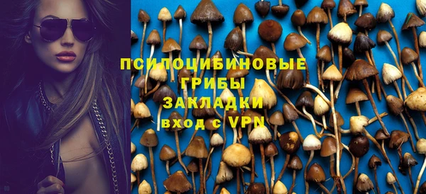 стафф Алексин