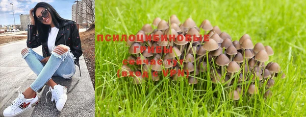 стафф Алексин