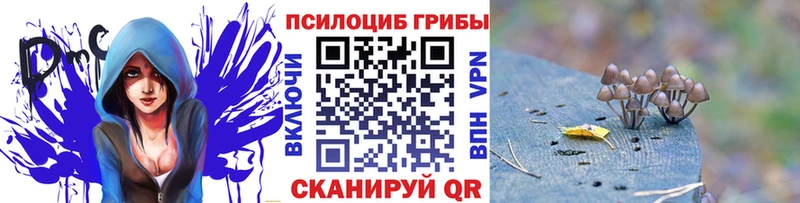 Галлюциногенные грибы Psilocybine cubensis  купить закладку  Мегион 
