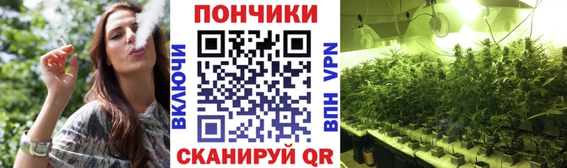 дарк нет телеграм  Мегион  Бошки Шишки Amnesia  сколько стоит 